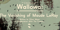 Wallowa Palm Springs Flyer